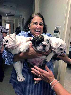 Dr. Richardson with Puppies